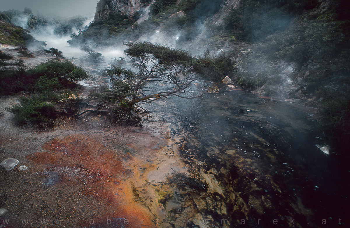 Steamin' Earth - Rotorua / New Zealand 1994