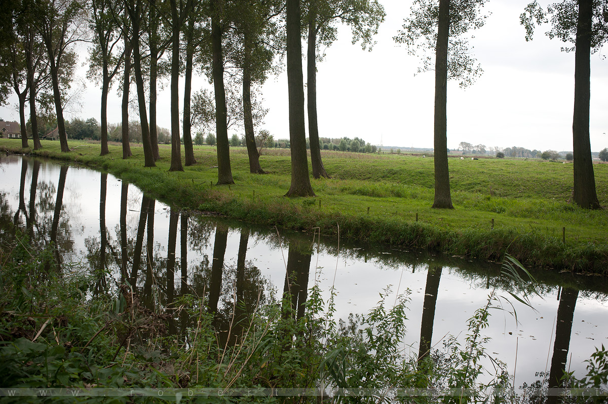 To Be Belgian - Damme / Belgium 2014