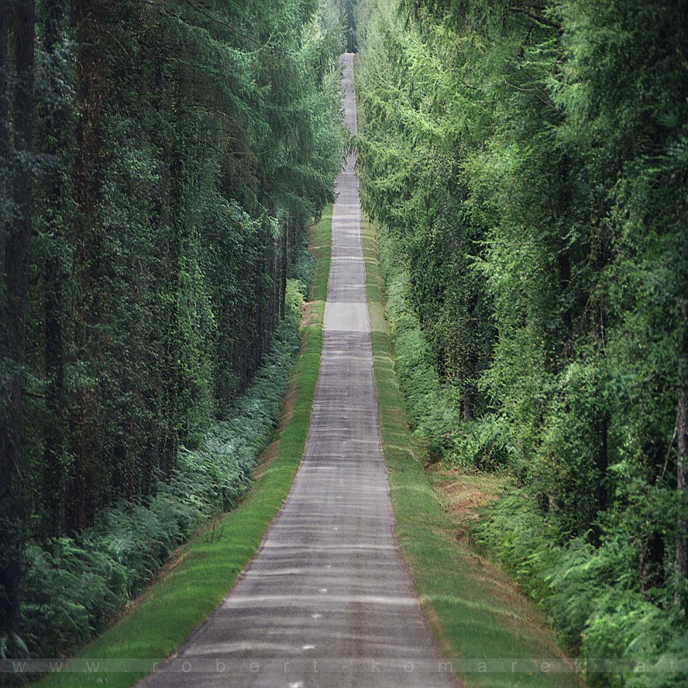 Straight Down - Forêt de Paimpont, Bretagne / France 2003