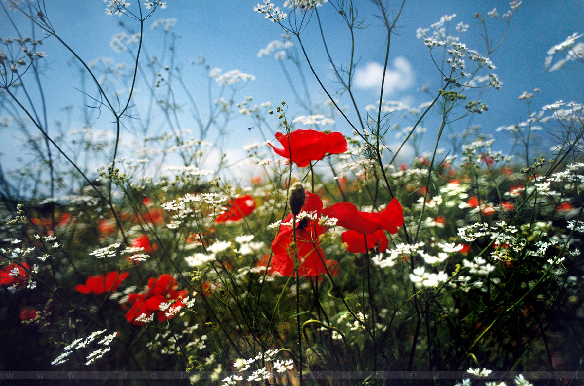 La Foce, Tuscany / Italy 1999