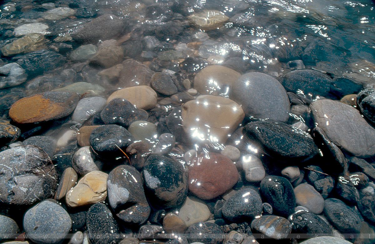 Ignes fatui - Fraser River, British Columbia / Canada 2000