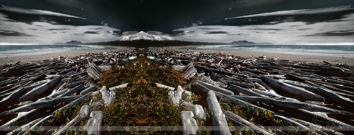 The Trombones of Jericho - Pacific RIM NP, Wickanninish Bay, British Columbia / Canada 2000