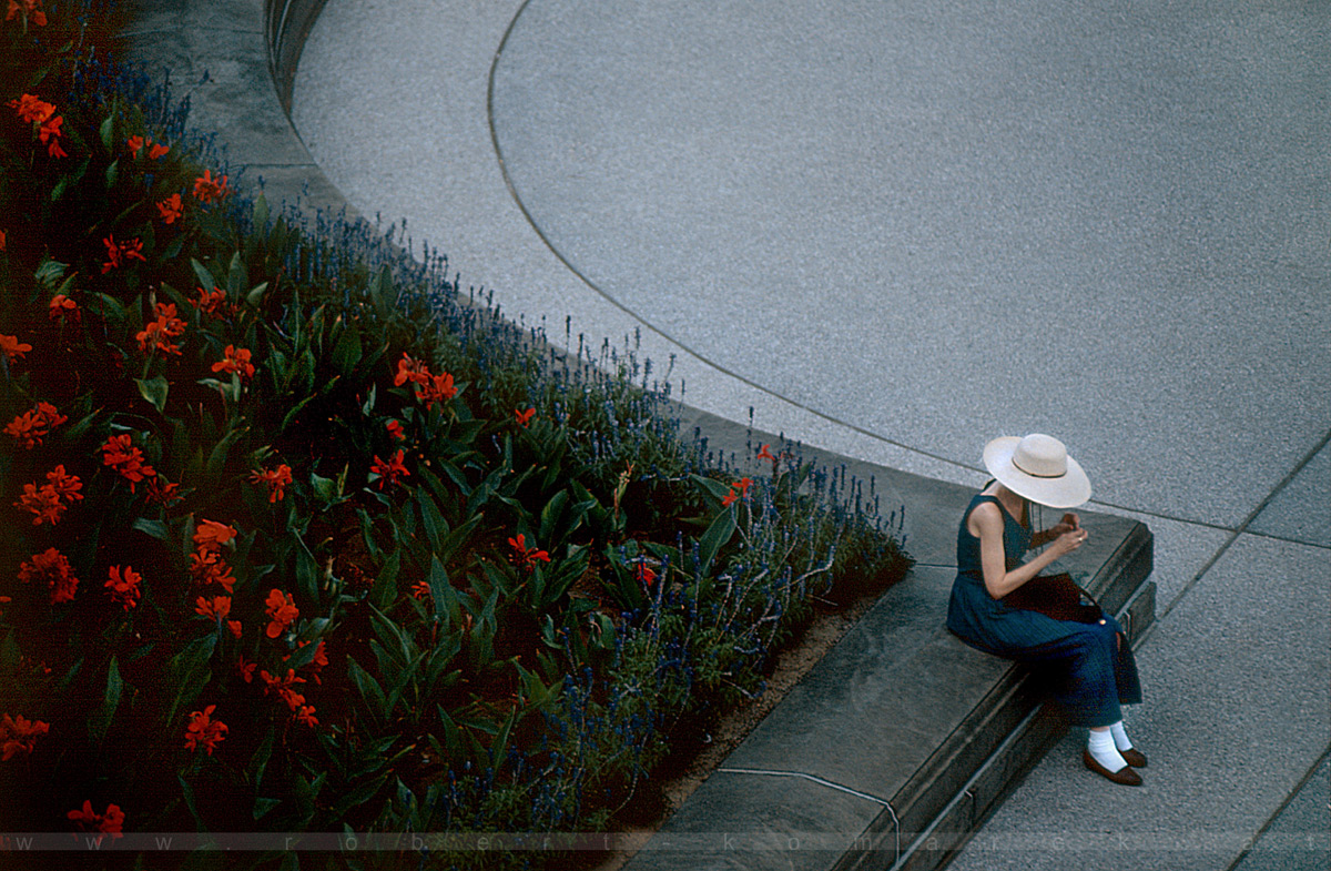 Pretty At The Capitol - Washington DC / U.S.A.