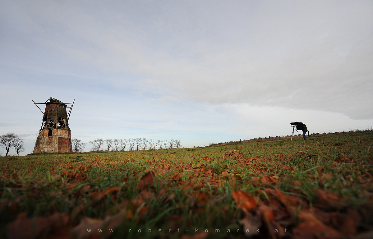 The Windmills of Your Mind  - Northern Germany 2010